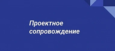 Проектное сопровождение